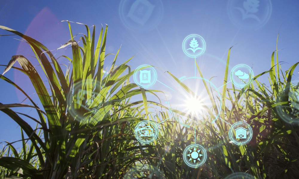 the internet of things at work in the agricultural industry