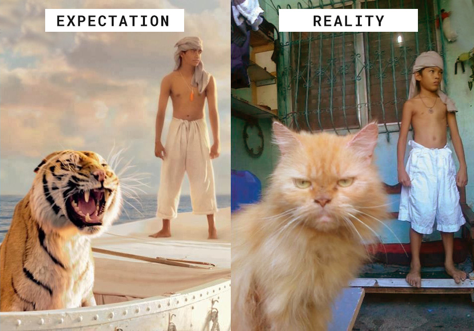 expectation and reality meme